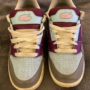 Nike Dunks SB
